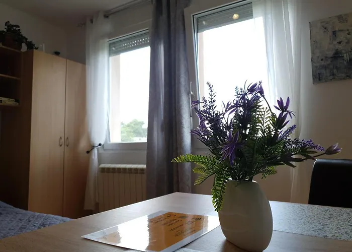 64 - Besplatan Javni Parking * Novi Sad