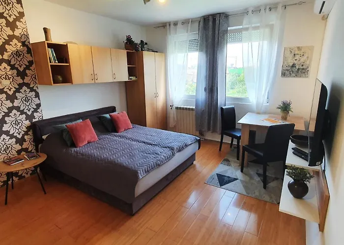 64 - Besplatan Javni Parking Novi Sad